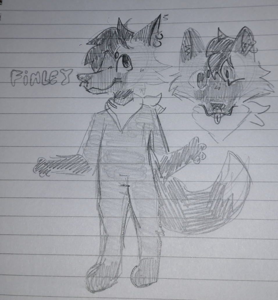 Finley - maskot BlavFF