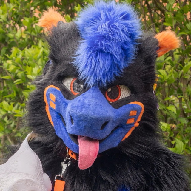 Schorn profile picture